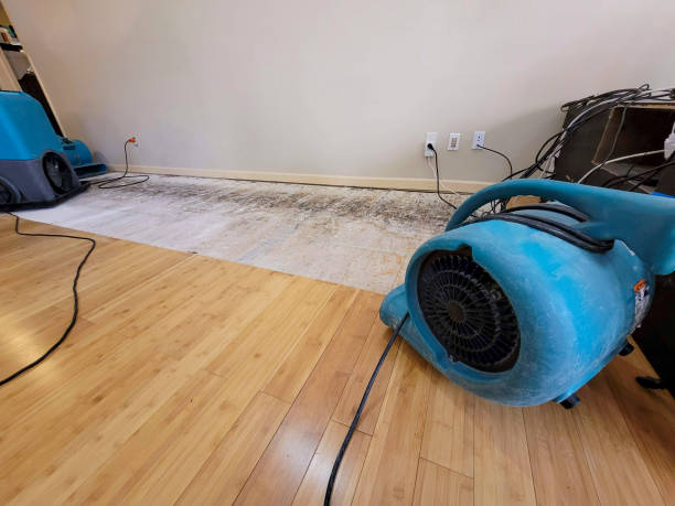 Professional Water Damage Repair technician working in South Walpole, MA